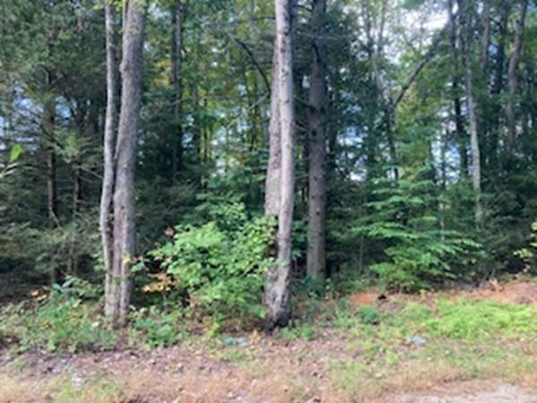 LOT A2 CARVER STREET, GRANBY, MA 01033, photo 1 of 2