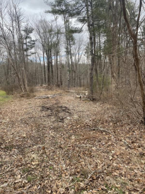 LOT 80.1 BRENTWOOD RD, SOUTHBRIDGE, MA 01550 - Image 1