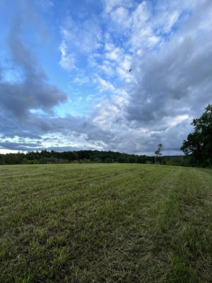 213 LONG HILL RD LOT 4, WEST BROOKFIELD, MA 01585 - Image 1