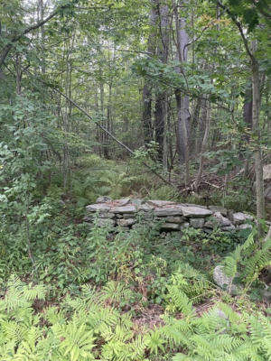 0 RUSSELL STAGE RD, BLANDFORD, MA 01008, photo 2 of 6