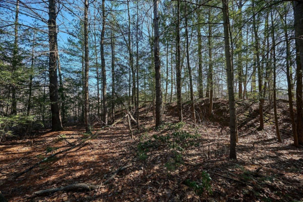 0 PINE HILL, RUSSELL, MA 01071 - Image 1