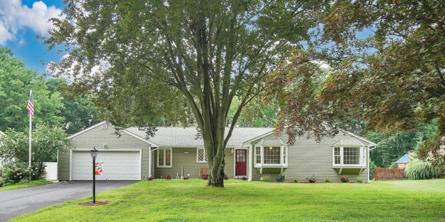 243 MANCHONIS RD EXT, WILBRAHAM, MA 01095 - Image 1