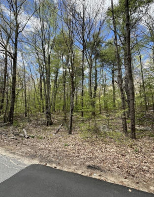 0 SECRET LAKE RD LOT 47, PHILLIPSTON, MA 01331 - Image 1