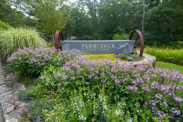 12 TAMARACK LN, OAK BLUFFS, MA 02557 - Image 1